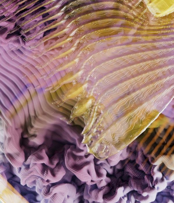 Advanced neural network architecture visualization with data processing layers